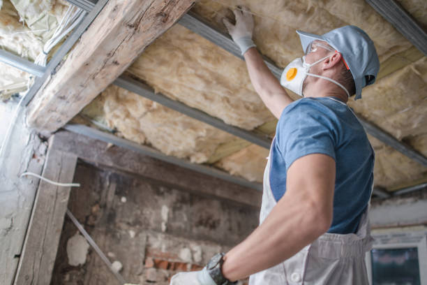 Best Cellulose Insulation in Wilkshire Hills, OH